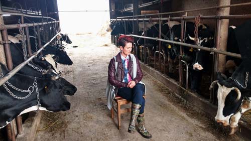 Wioletta Sasinowska, hodowla krów mlecznych - obrazek 10