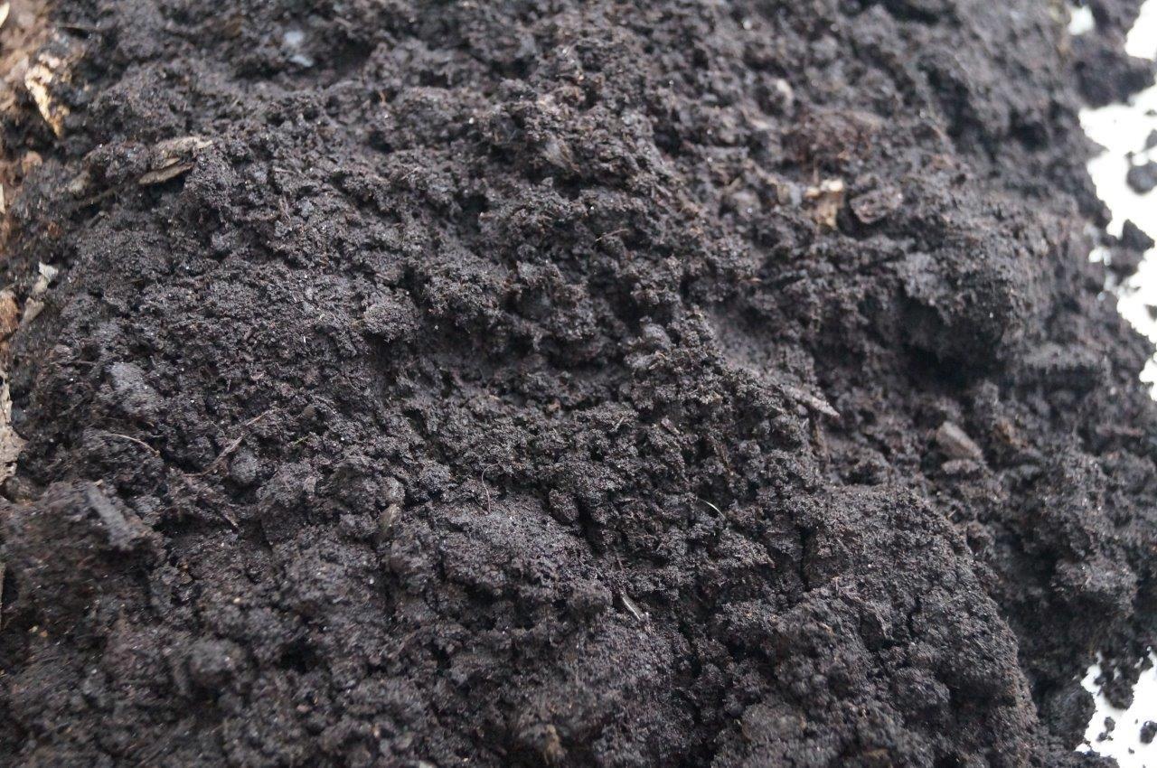 Kompost – materia, która wraca do obiegu w przyrodzie