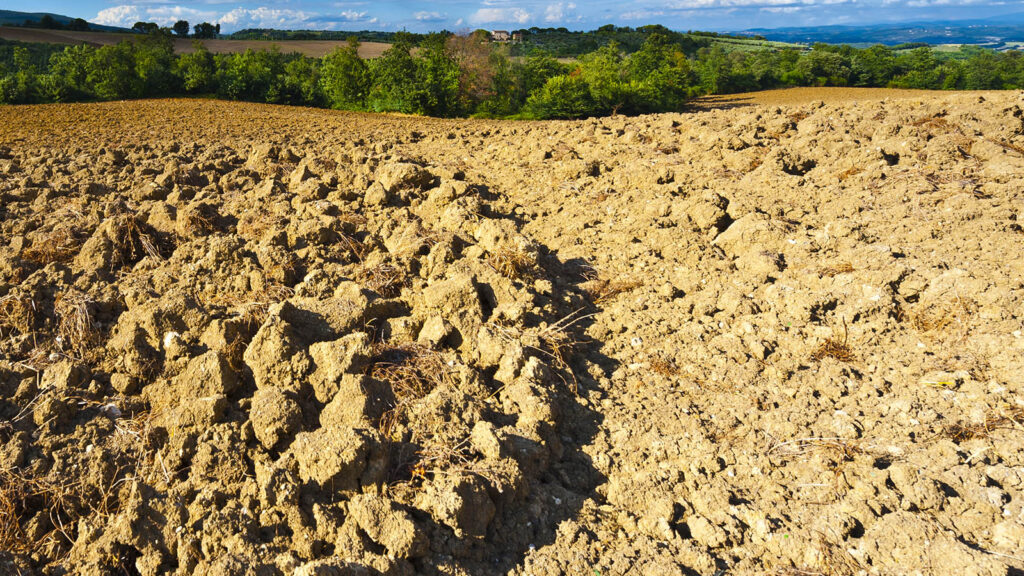 susza w rolnictwie