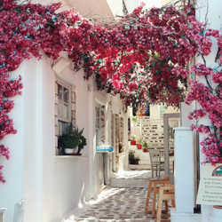 Kreta 5