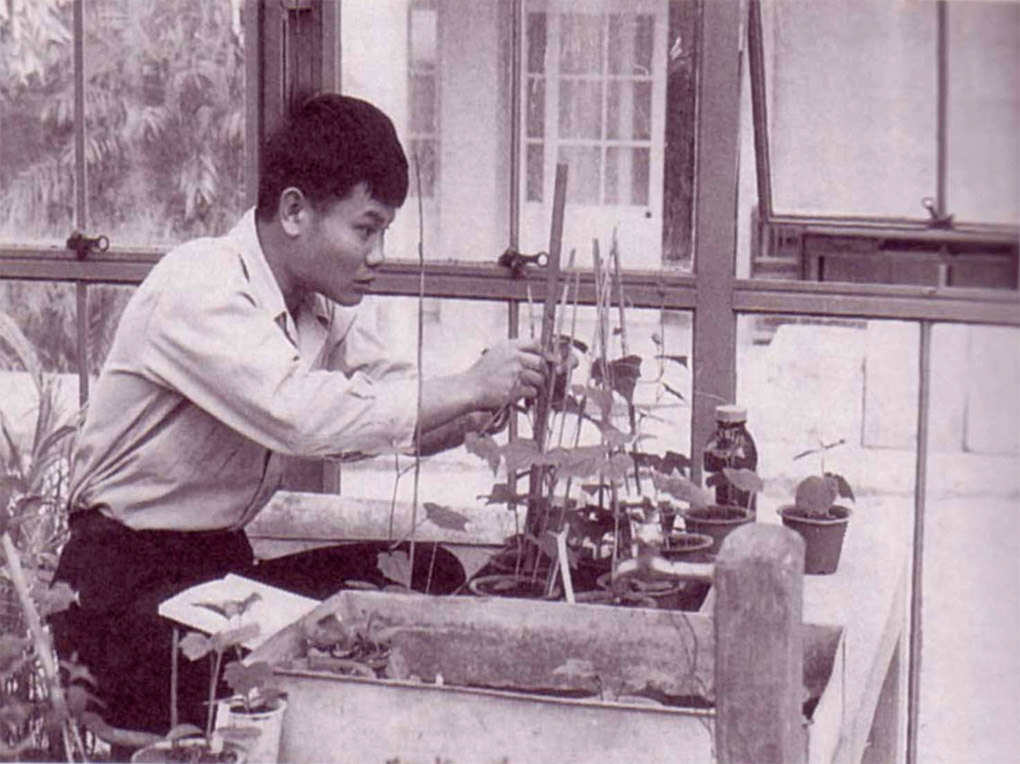 prof. Teruo Higa – twórca EM
